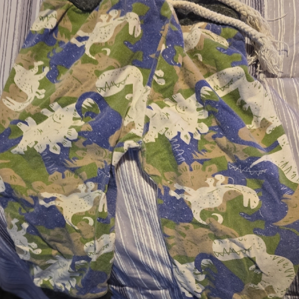 Dinosaur Print Kids Bottoms